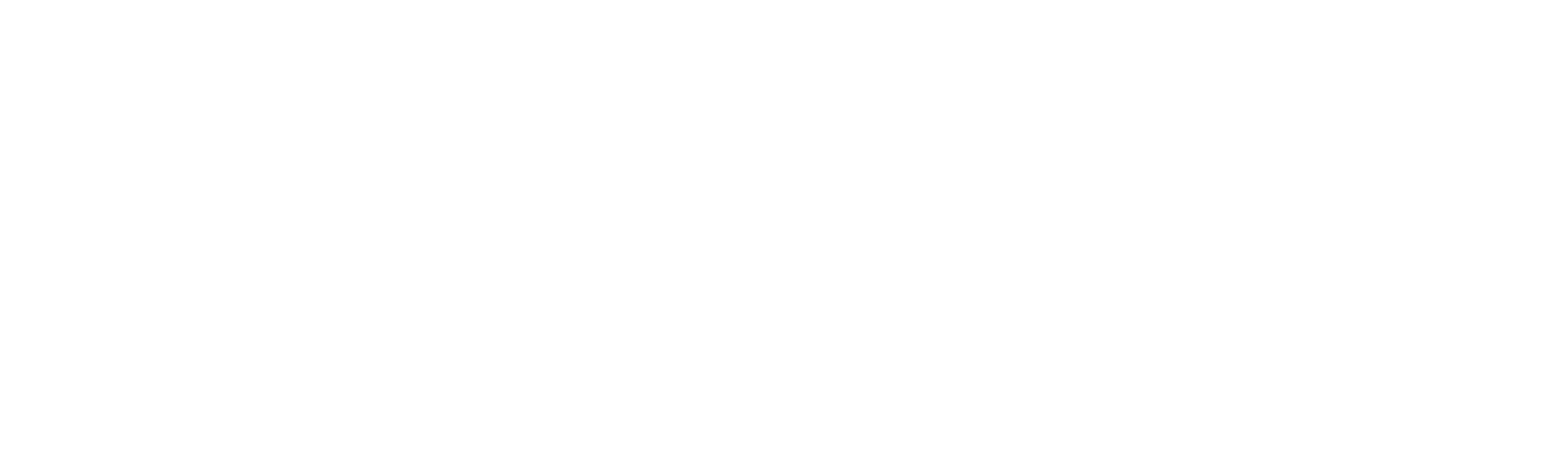 Digital Intelligence IA
